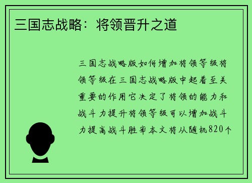 三国志战略：将领晋升之道