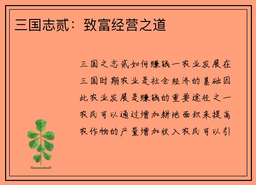三国志贰：致富经营之道