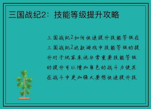 三国战纪2：技能等级提升攻略