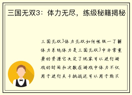 三国无双3：体力无尽，练级秘籍揭秘